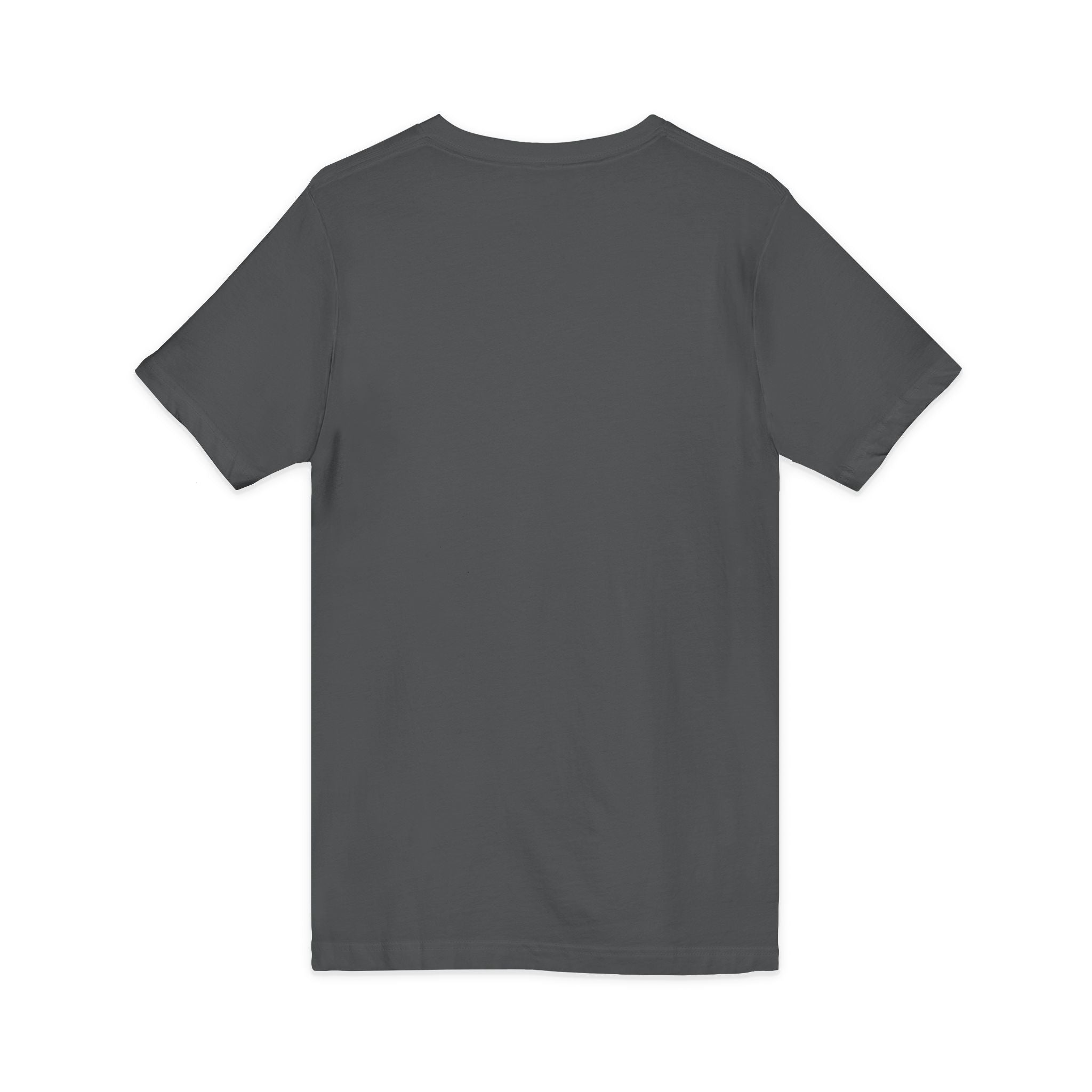 Chaos Coordinator V-Neck Tee, Funny T-Shirt, Unisex Humor Shirt, Gift for Parents, Stress Relief Apparel, Fun Casual Wear
